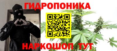 крисы Конаково